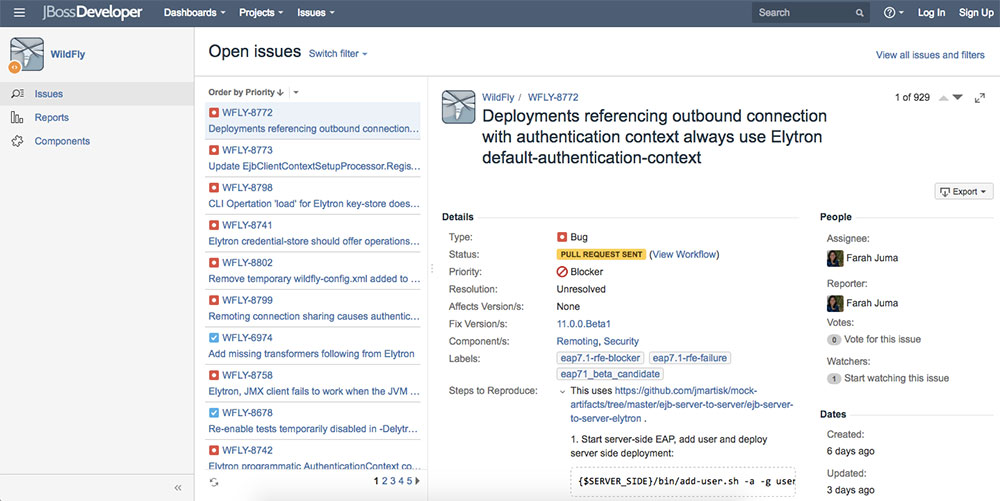 Jira issue list