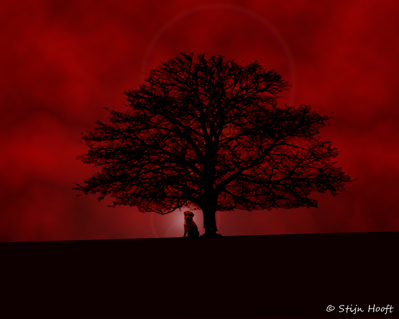 Mystic tree